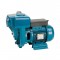Elettropompa Autodescante Monoblocco Worxdig 50