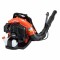 Echo Pb 580 Soffiatore A Scoppio A Zaino Con Motore A Due Tempi