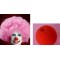 Naso da clown